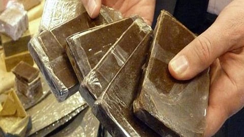 الحشيش المخدر