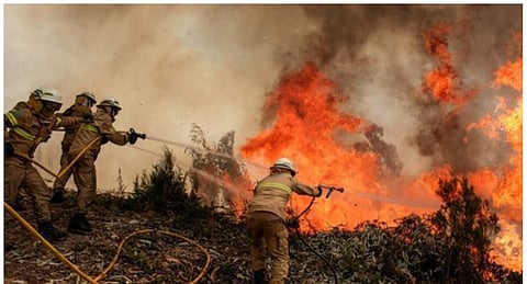 حرائق الغابات بالمغرب