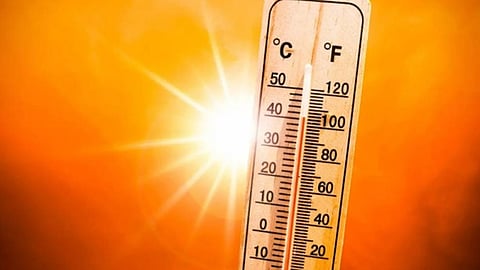 موسم جمرة القيظ