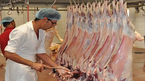 أحد المسالخ - أرشيفية