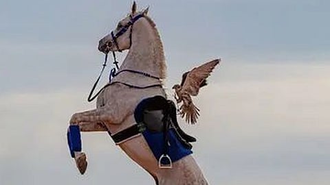 سعودي يوثق لقطات فريدة في صحراء النفوذ