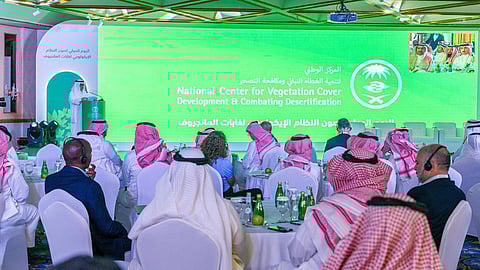 «الغطاء النباتي» يوقع 4 عقود لإنتاج وزراعة أكثر من مليونَيْ شجرة مانجروف