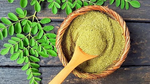 عشبة المورينغا