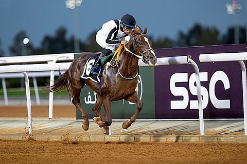 منافسات مثيرة في سباقات موسم الطائف