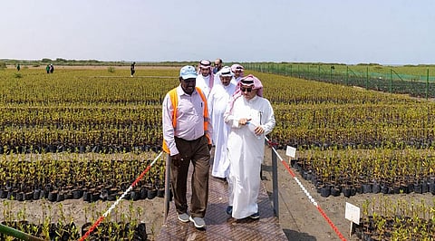 الرئيس التنفيذي للمركز الوطني لتنمية الغطاء النباتي ومكافحة التصحر الدكتور خالد العبد القادر