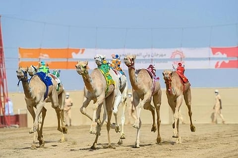 سيح السلم تترك بصمتها في مهرجان ولي العهد