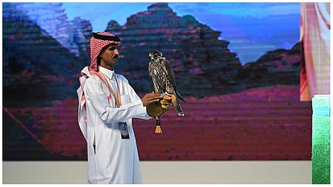 الليلة الخامسة للمزاد الدولي لمزارع إنتاج الصقور