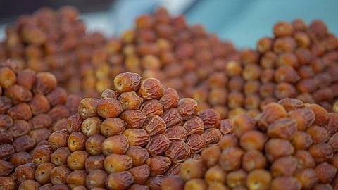 33% زيادة في مبيعات تمور مهرجان الأحساء