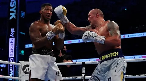 جوشوا يبحث عن الثأر أمام أوسيك