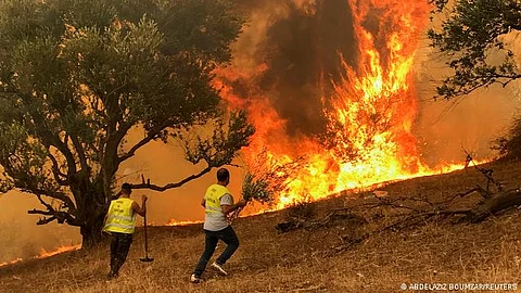  حريق غابات يستعر قرب بلدة شاطئية في جنوب تركيا