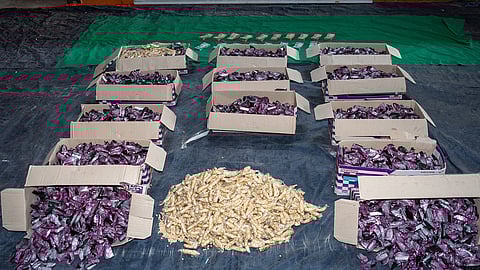 مخبأة بشحنة مماسح أرضيات.. إحباط تهريب 2.2 مليون قرص إمفيتامين بميناء جدة الإسلامي