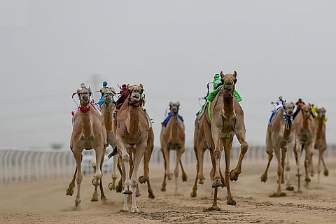 "العبور" تنتزع الأسرع توقيتًا