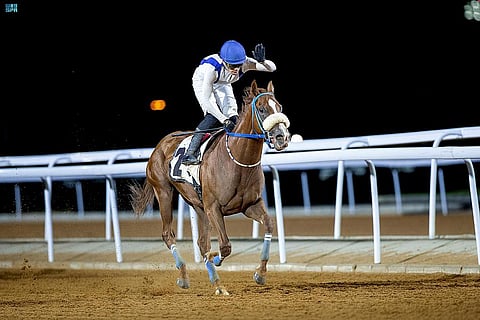 الفرس بنت غالية الخالدية تحقق كأس سباقات الخيل التقديرية بموسم الطائف 2022