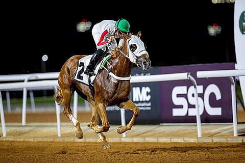 موسم سباقات الطائف 2022