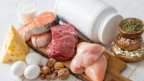 مصادر البروتين لبناء العضلات