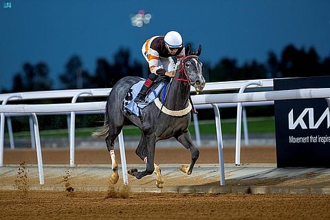 موسم سباقات الطائف 2022