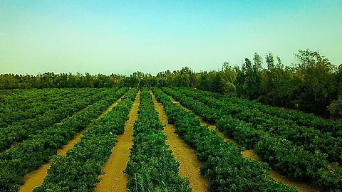 وزارة البيئة والمياه والزراعة