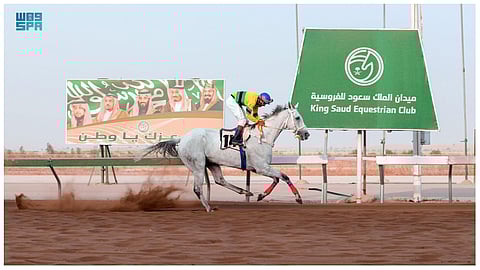 سباقات الخيل – أرشيفية