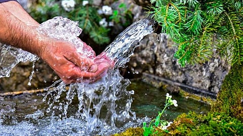 الماء العذب