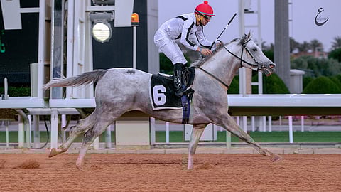 «متوكل الخالدية» يتوهج في موسم الطائف