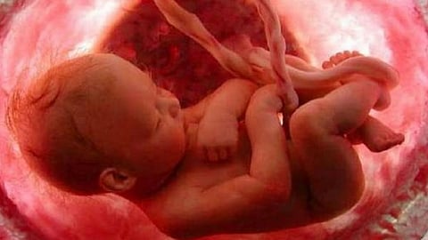 عوامل تؤثر على وزن الجنين