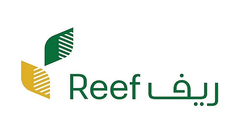 برنامج ريف