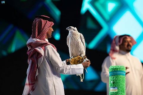 أحد الصقور المباعة في المزاد