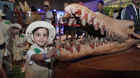 العودة إلى الرياض