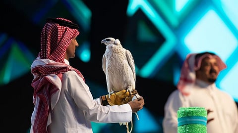 مزاد نادي الصقور السعودي