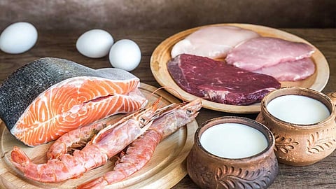 فوائد حمض التورين على جسم الإنسان