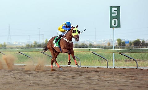 سباقات الفروسية - أرشيفية