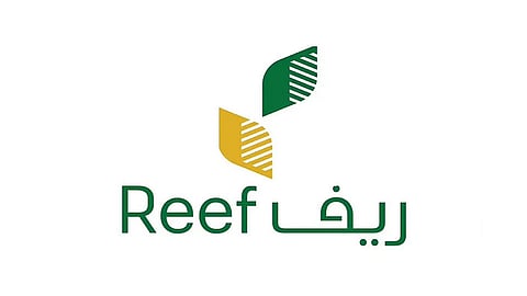برنامج ريف