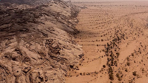 تنمية المراعي الطبيعية