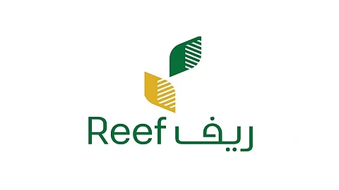 برنامج ريف