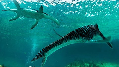 اكتشاف أحافير لكائنات بحرية