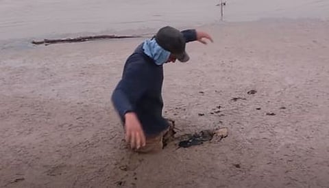 المغامر المصري