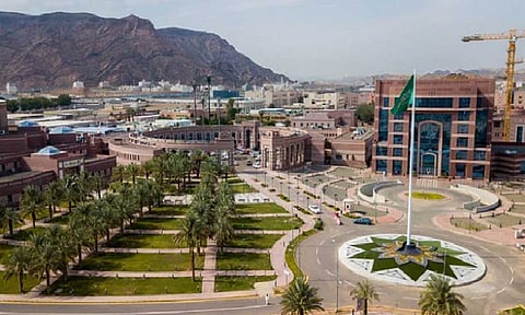 جامعة طيبة تطلق مبادرة التعليم الإلكتروني بالتعاون مع جهات محلية ودولية