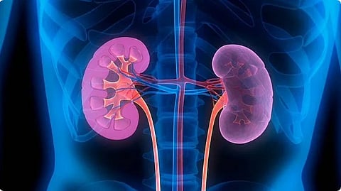 أمراض الكلى
