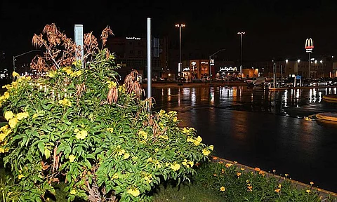 أمطار من خفيفة إلى متوسطة على محافظة الأحساء (صور)