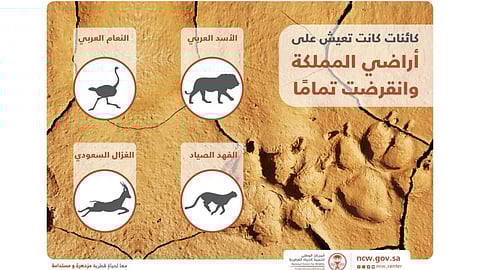 المركز الوطني لتنمية الحياة الفطرية