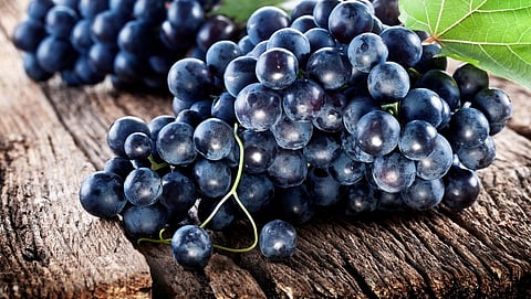 العنب الأسود