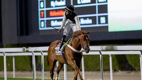 نادي سباقات الخيل