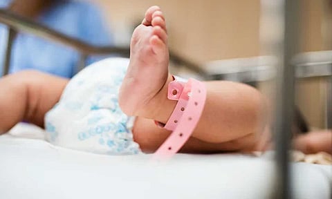 رضيع برازيلي