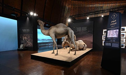 «إثراء» يصافح زواره بباقة متنوعة من الفعاليات الشتوية