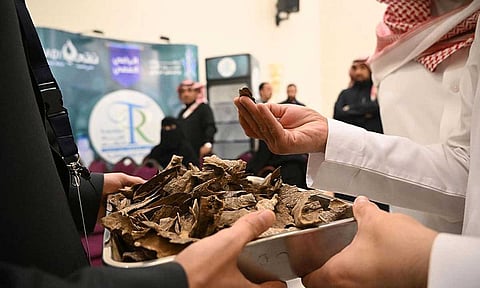 أكثر من 7 آلاف زائر وزائرة لمعرض العطور في يومه الرابع بمنطقة تبوك