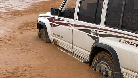 بلاغات المفقودين