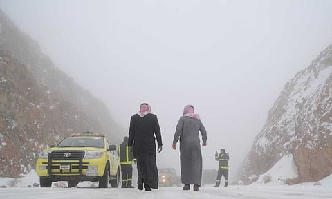 طقس المملكة