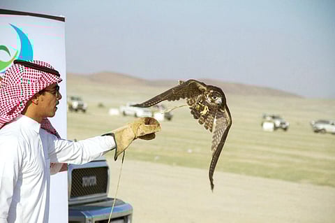 مهرجان الصقور بمنطقة الحدود الشمالية