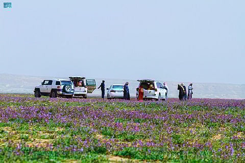 الحدود الشمالية