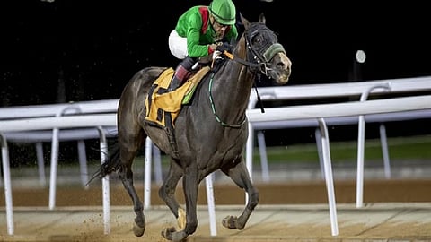 سباقات الخيول